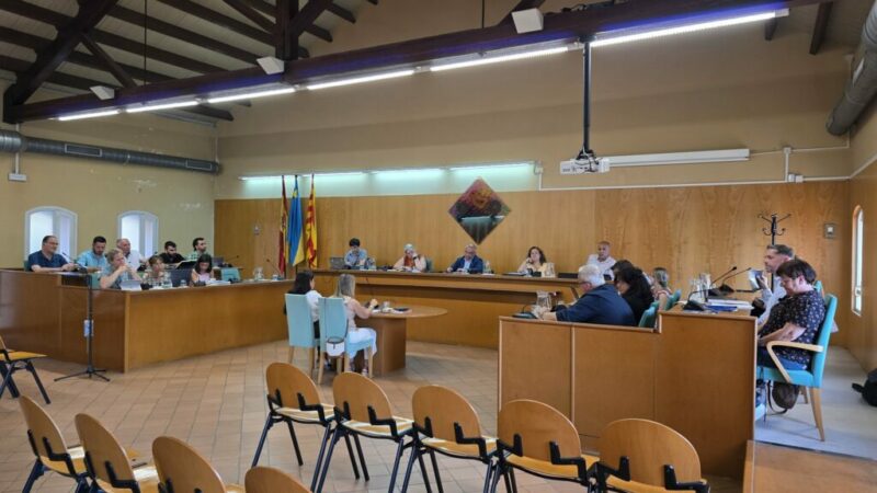 Ple Municipal 28/05/2026