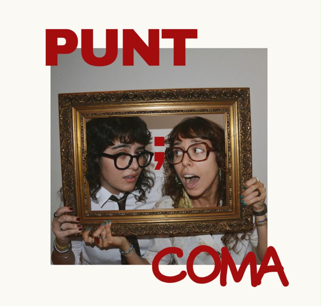 Punt ; coma